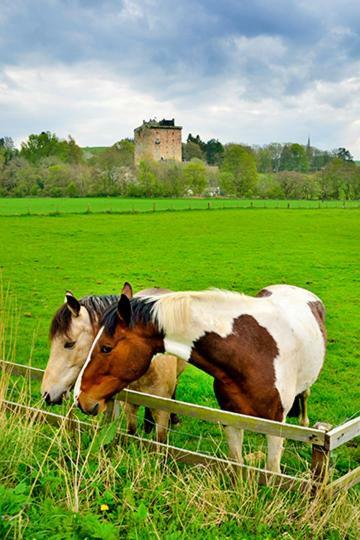 Vila The Arches, Borthwick Mains Farm, Gorebridge Exteriér fotografie